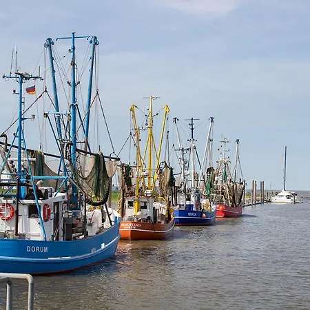 Robbenplate 07 Ferienhaus Dorumer Neufeld