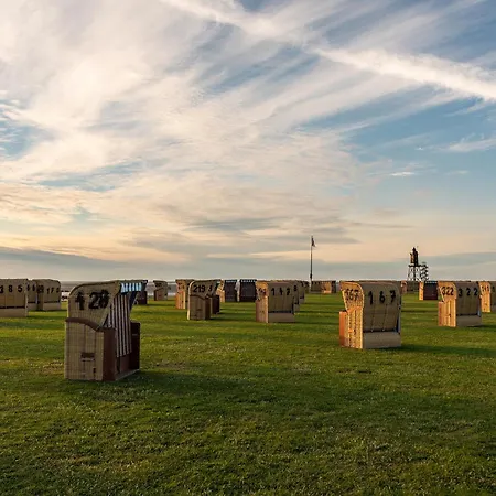 Robbenplate 07 Dorumer Neufeld