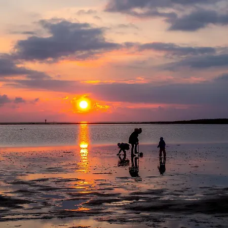 Robbenplate 07 Ferienhaus