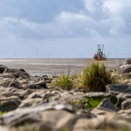 Ferienhaus Robbenplate 07 *