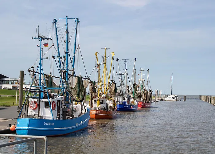 Robbenplate 07 بيت للعطل دورم نيوفيلد