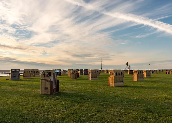 Robbenplate 07 دورم نيوفيلد