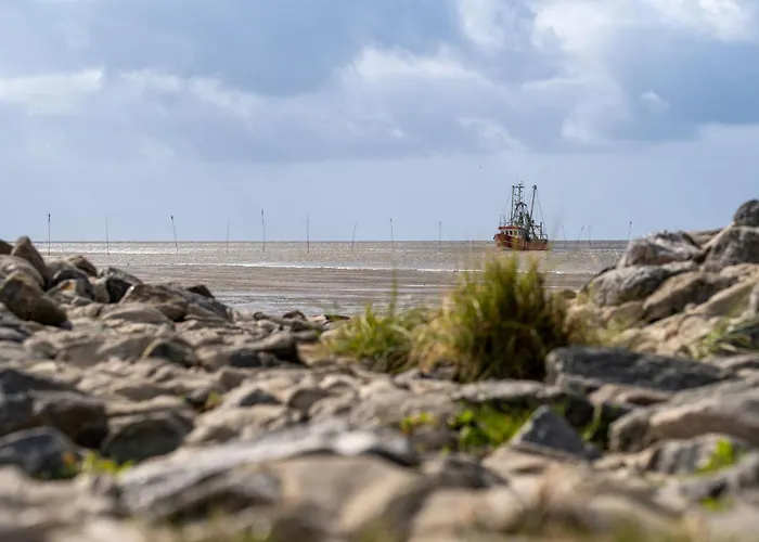 بيت للعطل Robbenplate 07 *